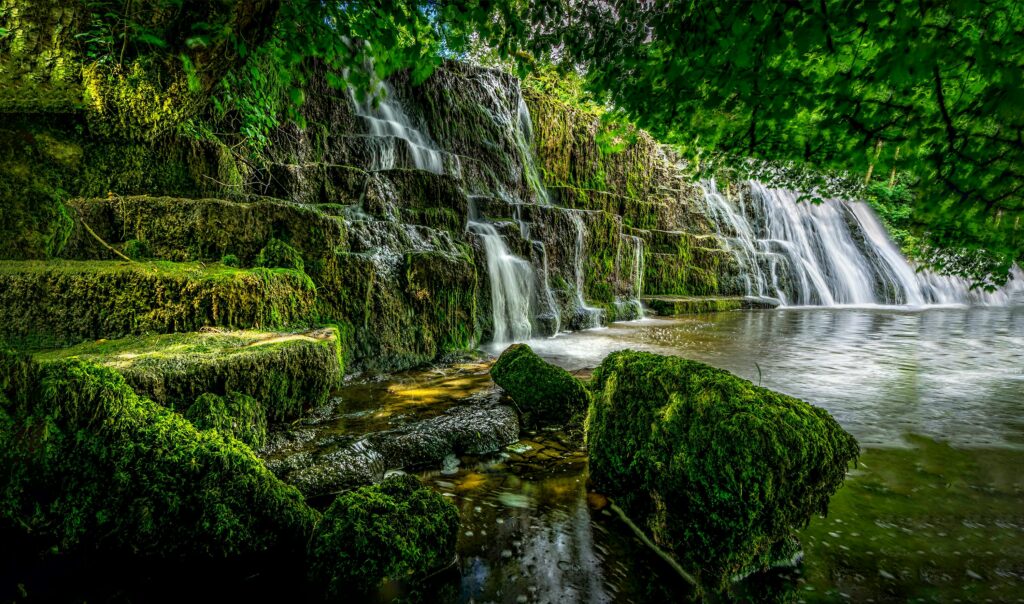 A serene view of a waterfall cascading over moss-covered rocks in a forest setting.