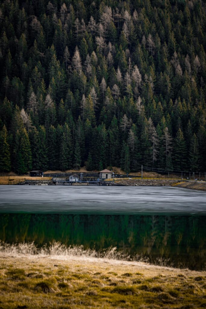 Peaceful mountain lake surrounded by dense coniferous forest, tranquil and serene wilderness.