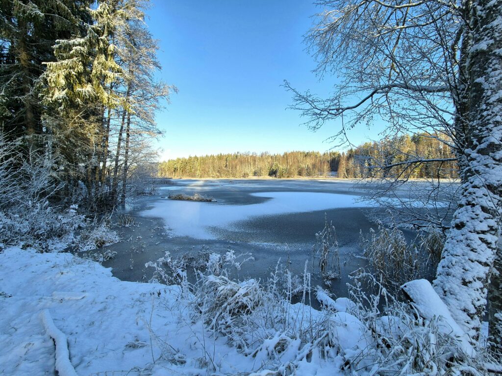 Serene winter landscape featuring a frozen lake and snow-covered trees under clear blue sky.