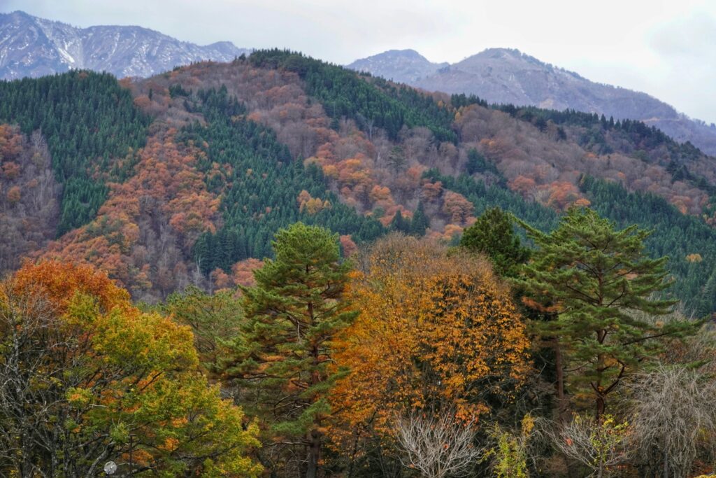 Beautiful autumn foliage in a mountainous landscape with vibrant colors and forested hills.