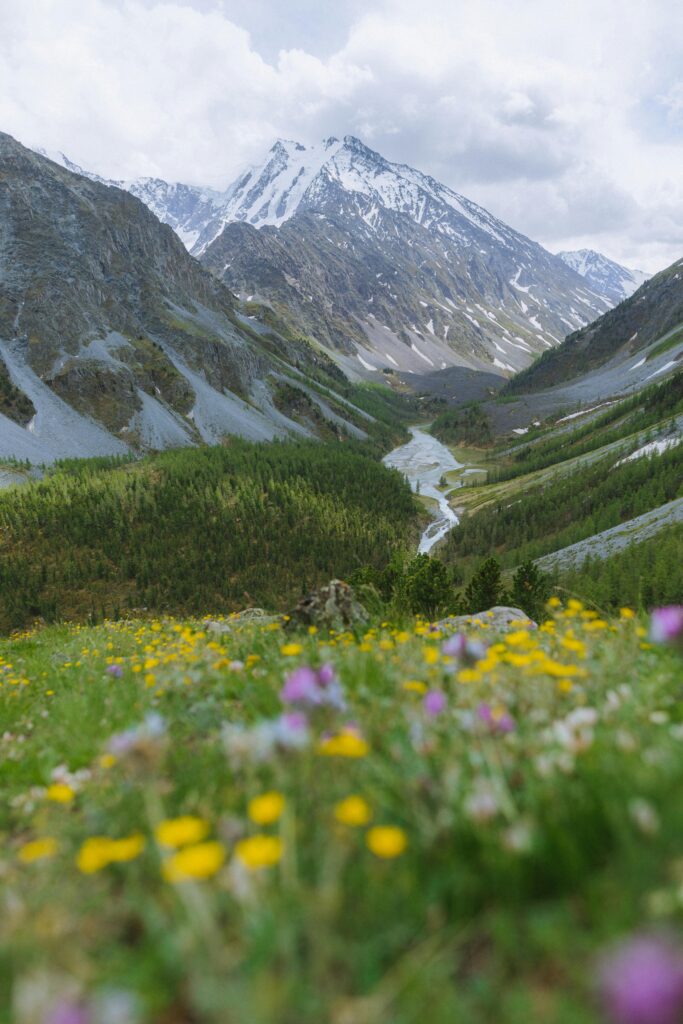 A vibrant mountain landscape with blooming wildflowers under a cloudy sky.