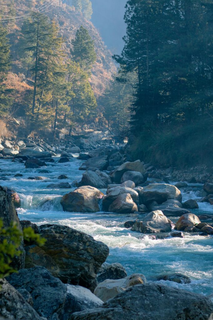 Beautiful river flowing through boulders and pine trees in Kasol, Himachal Pradesh, India.