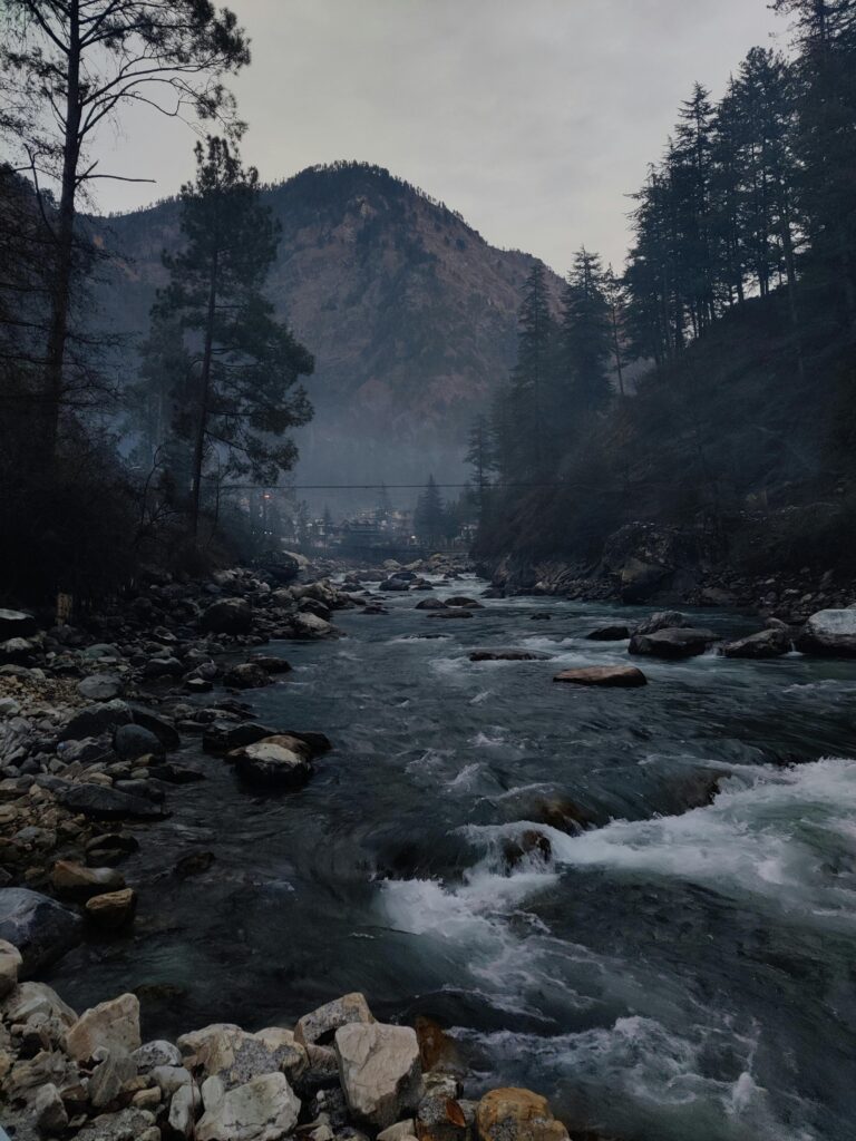 Peaceful stream flowing through Himachal Pradesh mountains, surrounded by dense forest.