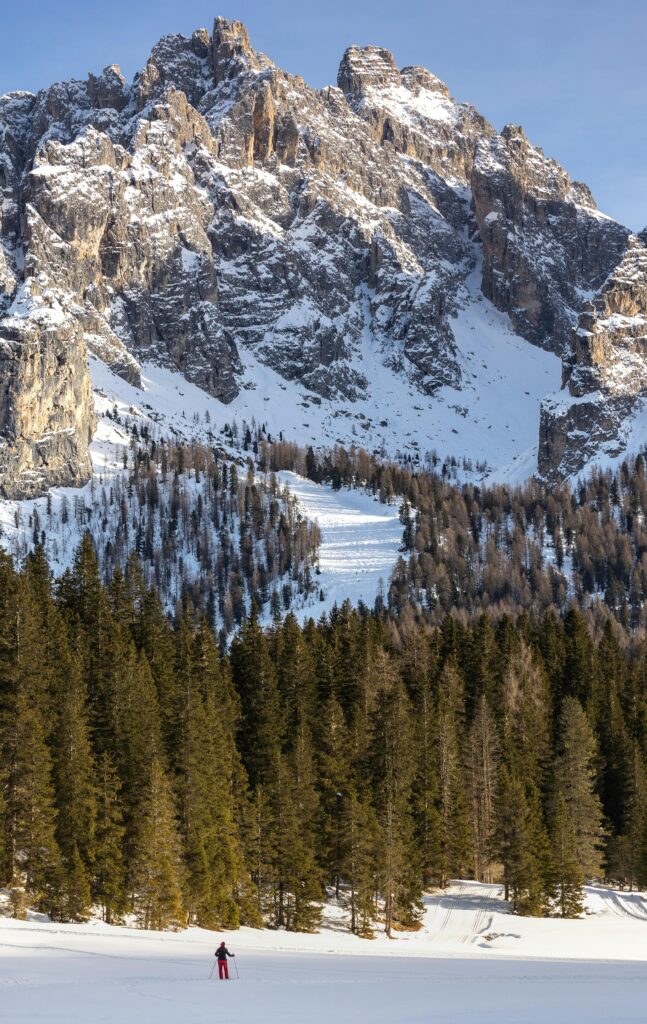 A stunning view of the Dolomites with snow and forest, ideal for winter sports enthusiasts.