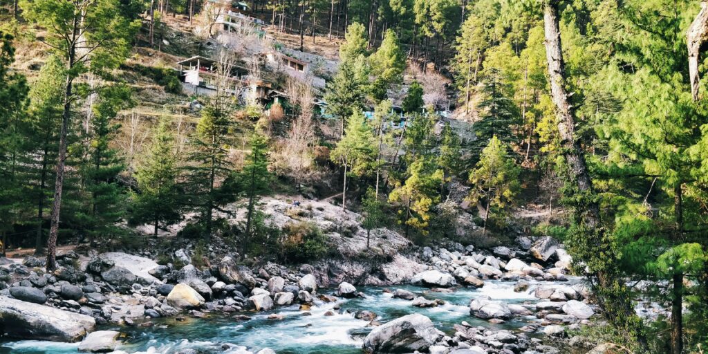 A vibrant river flowing through the forested hills of Kasol, India, showcasing nature's beauty.